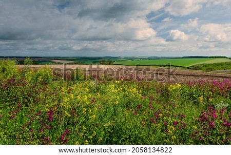 Rural landscape with wild flowers in bloom and view of ploughed fields and crops under cloudy sky in the heart of the Wolds in spring Royalty-Free Stock Photo #2058134822