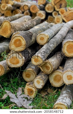 pile of pieces of wood after cutting