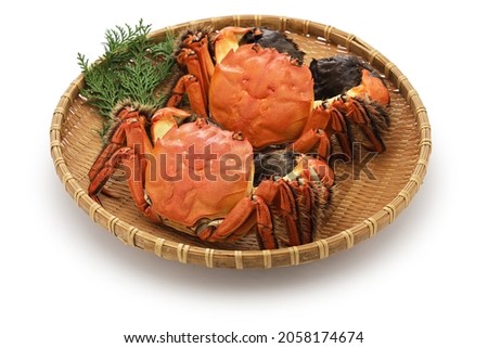 Boiled Japanese mitten crab (detached shell from body).
This crab is the same kind of crab as the Shanghai hairy crab.