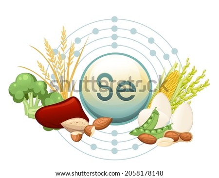 Selenium capsule with molecular structure and the products in which it is contained vector illustration Royalty-Free Stock Photo #2058178148