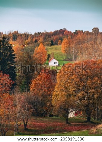 Autum forest landscape with small, cozy, rural cottage house far away.