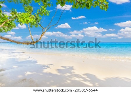 Beautiful sandy beach with wave crashing on sandy shore at Similan Islands Beautiful tropical sea Similan island No.4 at Similan national park, Phang nga Thailand Royalty-Free Stock Photo #2058196544