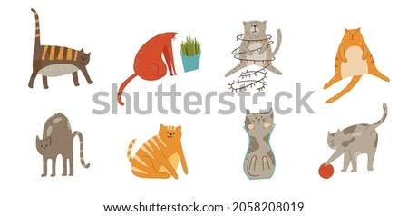 Set of cats walking, sitting like a Christmas tree, eating grass, arching back, being liquid in vase, playing with yarn ball. Vector illustration hand drawn cartoon flat style.