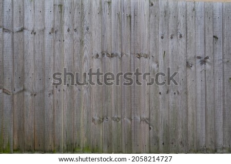 Background material or texture of the natural wood planks. High quality photo
