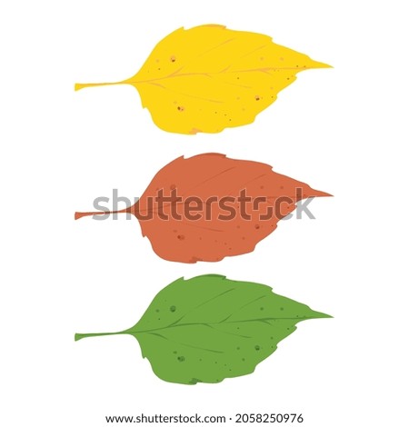 Leaves clip art vector illustration isolated