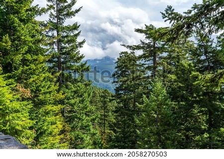 Tree grow on a steep slope at Hurricane Ridge in Washington State. Royalty-Free Stock Photo #2058270503