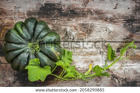 Green flattened segmented pumpkin on a wooden surface with a stem and flower bud.