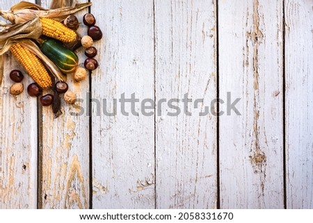 Photography of organic yellow, green and orange pumpkins from our own garden with colorful leaves, corn on the cob, nuts, chestnuts on a light wooden surface with soft daylight as a background or deco