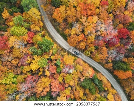 Aerial view of the fall foliage