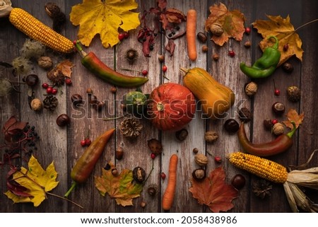 Autumn arrangement with the harvest of pumpkins, corn on the cob, apples, carrots and different nuts on a brown wooden background, rustic photography as a background or decoration

