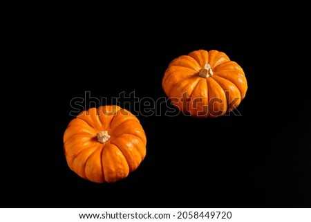 Decorative mini pumpkin on black background.