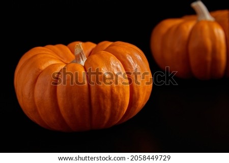 Decorative mini pumpkin on black background.