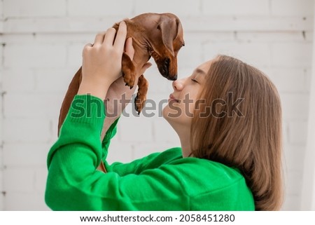 teenage girl in jeans and green sweater holds a small dog dachshund in her arms. favorite pet. girl hugs, kisses, squeezes her beloved dog in her hands. animal care. space for text. High quality photo