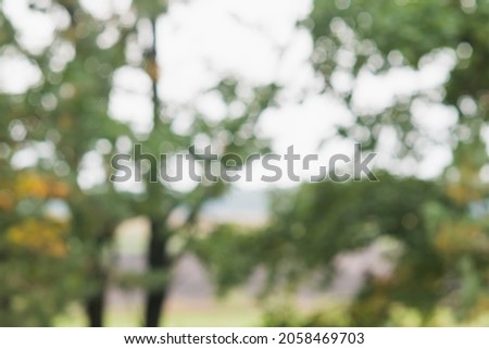 Blurry image of forest trees in early autumn