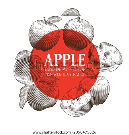Apple Set Hand Draw Vector, Engraving illustration, Red Apple, Retro vintage, fruit, Isolated on white background 