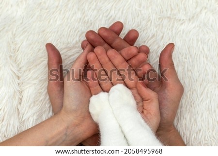 Men's, women's palms and cat's paws. Concept of animal adoption in the family. Royalty-Free Stock Photo #2058495968