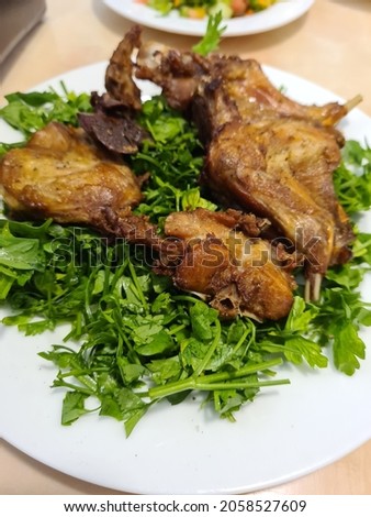 Fried Rabbit, special food in one of Egyptian restaurant in jeddah, white plate and  chopped parsley. 