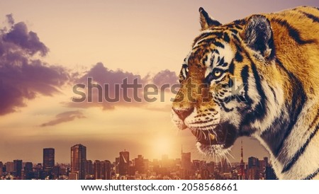 Tiger and cityscape. New year concept of Japan. New year's card 2022.