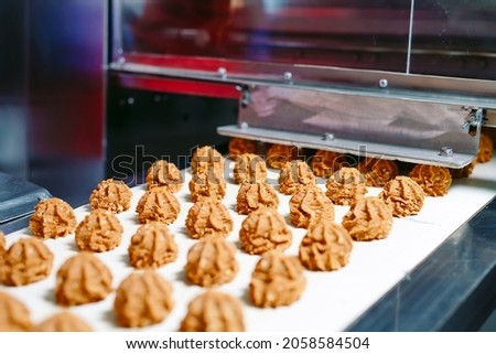 sweets production and industry concept - chocolate candies processing on conveyor at confectionery shop