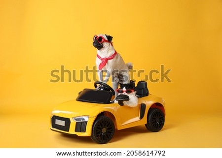 Funny pug dog and cat with sunglasses in toy car on yellow background Royalty-Free Stock Photo #2058614792