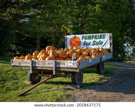 Pumpkins for sale on a farmers trailer.