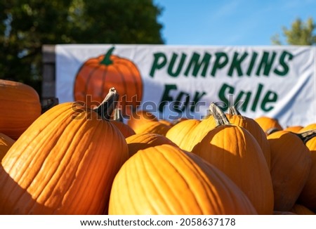 Closeup of pumpkins for sale on a farmers trailer.