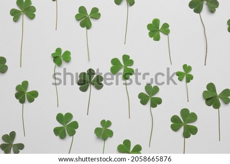 Green clover leaves on white background, flat lay