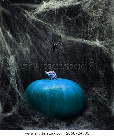 Pumpkin on white spider web background, halloween design.