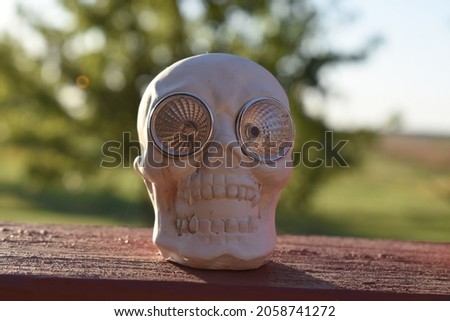 Halloween skull decoration on a deck