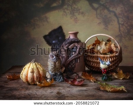 Funny autumn picture with a little black kitten