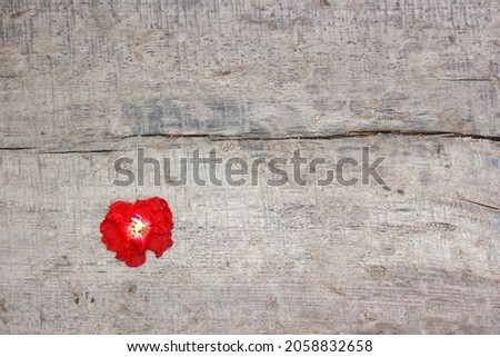 Withered red rose on the wooden table.