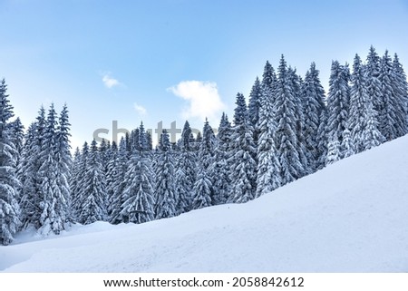 The snowy pine forest in winter Royalty-Free Stock Photo #2058842612