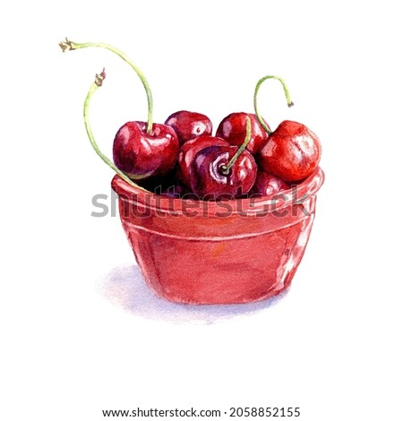 Cherry in bowl isolated over white background. Botanical watercolor  illustration.
