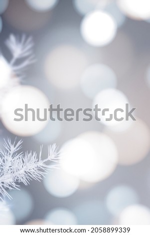 Frosty tree with white bokeh lights background