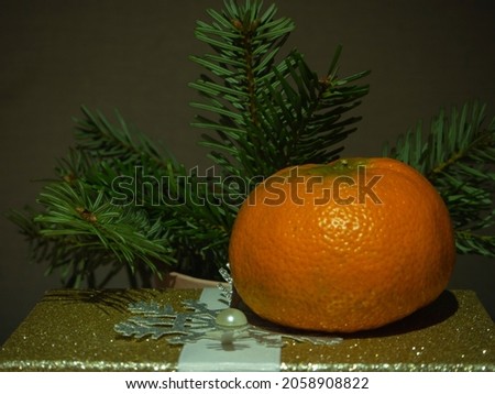 Christmas composition. Tangerine on a gift box in the background coniferous branches. New Year greeting card.