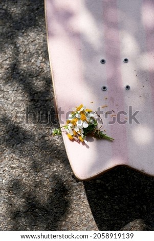 Close-up of flowers on pink skateboard on the road outdoors