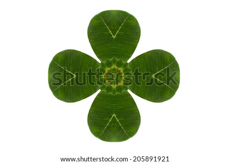 Flower create from leaf  