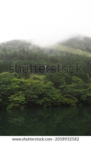 Serene and beautiful greeneries landscape with clean water