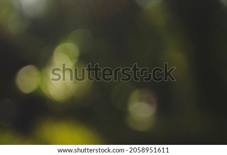 Background Abstract of Light green leaves with modern bokeh and blur concept. Blurred bokeh of tree garden in morning background, spring summer season or green concept ideas