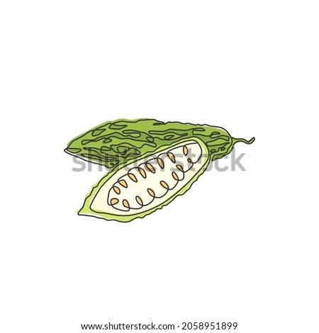 Single continuous line drawing of whole and sliced healthy organic bitter gourd for garden logo identity. Fresh Indonesian pare concept for veggie icon. Modern one line draw design vector illustration