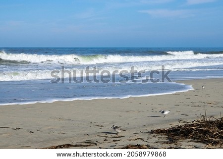Sandpipers walk the beach in Nags Head, North Carolina, as the waves crash ashore. Royalty-Free Stock Photo #2058979868
