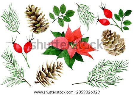 watercolor christmas, winter set. poinsettia, red berries and leaves of wild rose, fir branches and cones isolated on white background. vintage collection for the new year