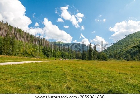 Podhale and Tatra Mountains. Photos was taken in summer. Poland, Malopolskie 

