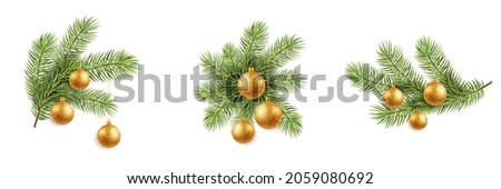 Green fir branches of isolated on white background. Christmas gold ball, vector illustration.