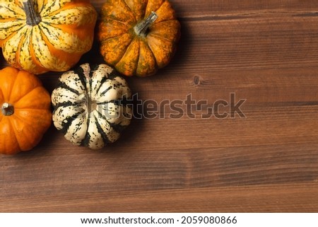 Thanksgiving and pumpkins seasonal autumn background. Copy space for text.