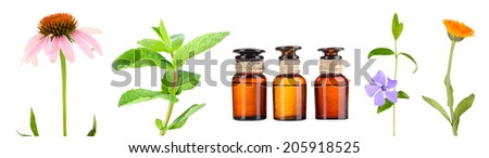 Collage of medicine bottles and herbs, isolated on white