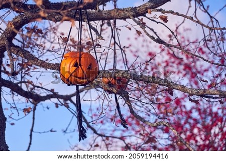 Halloween carved pumpkin hanging on a tree