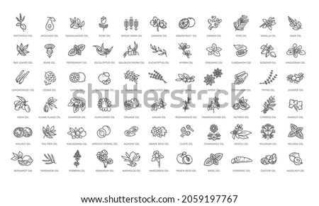 Vector set of natural ingredients and oils for cosmetics in linear style. Essential oil and cosmetics oils, butters Royalty-Free Stock Photo #2059197767