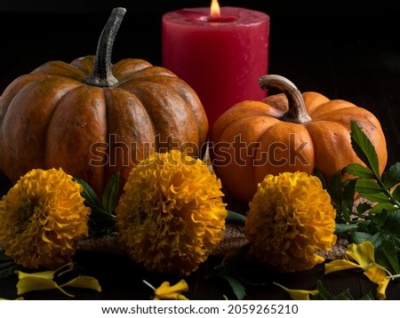 Pumpkins and marigold flower for the day of the dead.