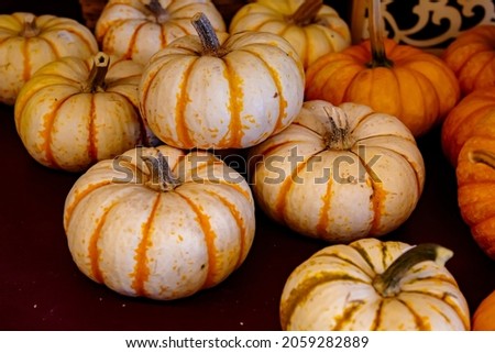 Decorative Pumpkins on display on a table.